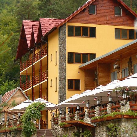 Pension Curmatura Stezii Решинарі Екстер'єр фото