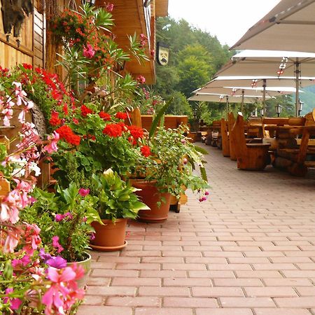 Pension Curmatura Stezii Решинарі Екстер'єр фото