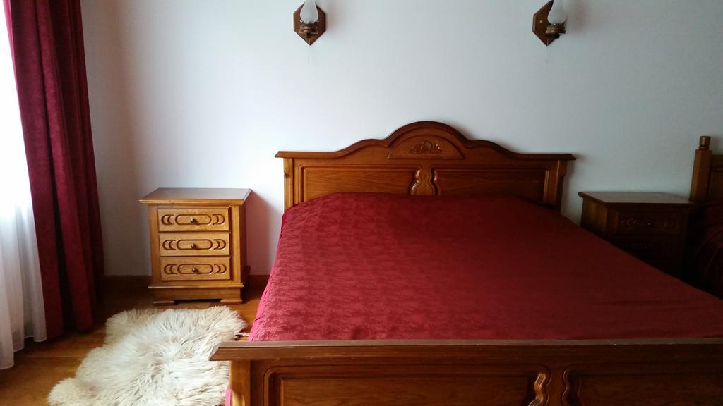Pension Curmatura Stezii Решинарі Екстер'єр фото