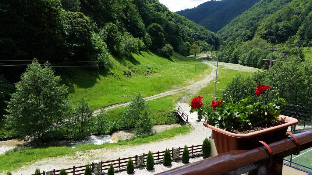 Pension Curmatura Stezii Решинарі Екстер'єр фото