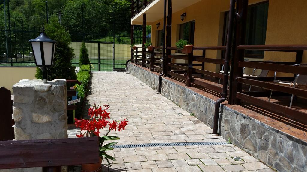 Pension Curmatura Stezii Решинарі Екстер'єр фото