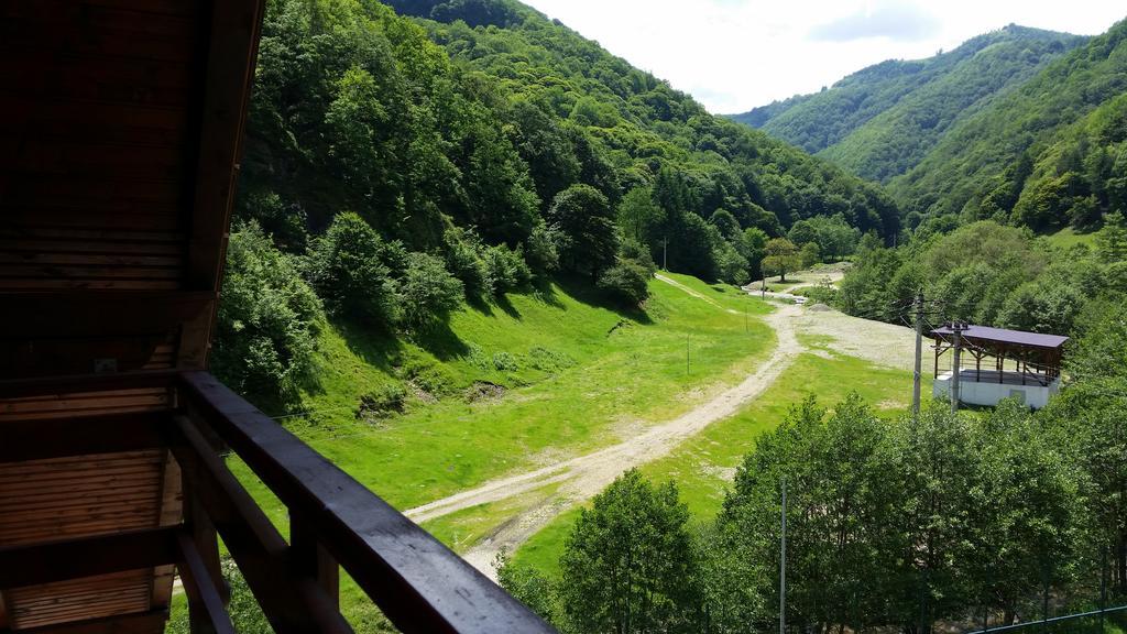 Pension Curmatura Stezii Решинарі Екстер'єр фото