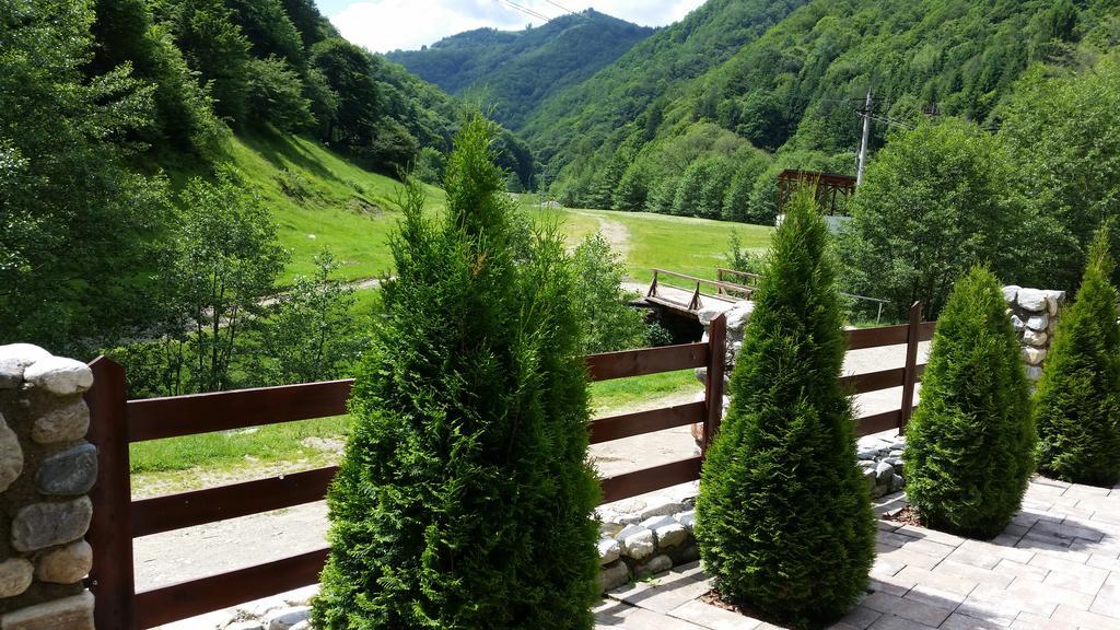 Pension Curmatura Stezii Решинарі Екстер'єр фото